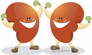 Natural Diet for Healthy Kidneys