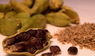 Cardamom and Its Top 5 Health Benefits