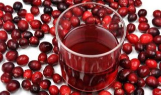 The Cranberry Juice – A Miracle for Your Health