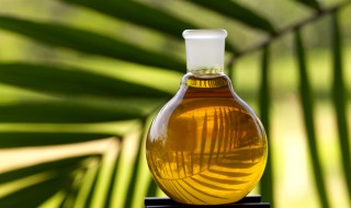 Palm Oil – Healthier Than You Think