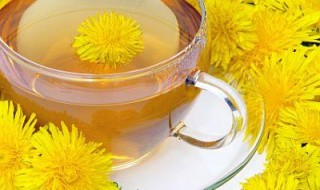 7 Top Properties of Dandelion Tea