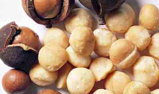 The Fine Macadamia Nuts and Their Benefits