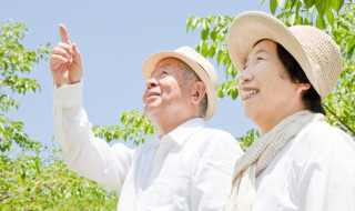 PointingJapaneseElderlyCouple