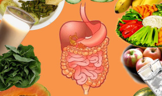 Foods that Will Maintain the Stomach Health