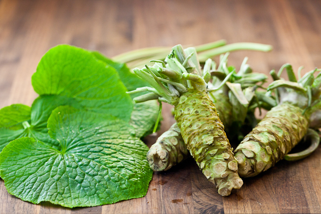 Wasabi - The Japanese Remedy