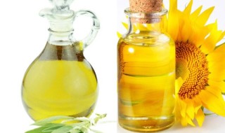 The Healthiest Choice – Olive Oil or Sunflower Oil?