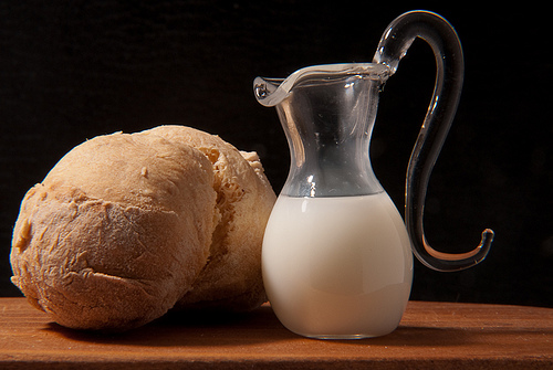 Bread and Milk Poultices – The World’s Oldest Remedy