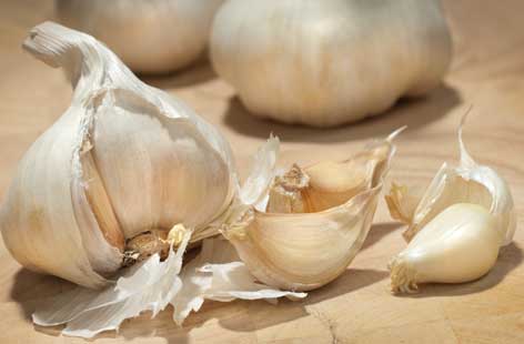 Garlic Ointment – Recipes for Candida, Sinusitis and Other External Conditions