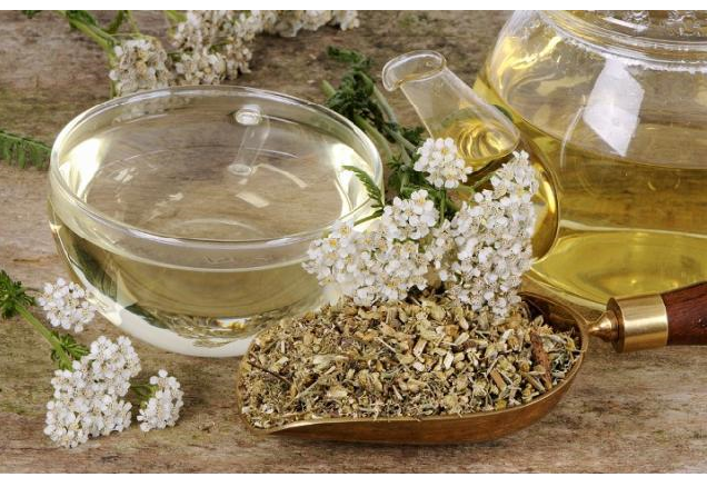 Yarrow Tea and Its Amazing Benefits for Allergies, Digestion and Inflammation