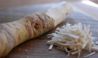 Horseradish for Bones, Cancer and Digestion