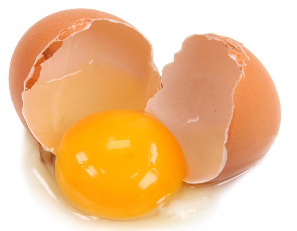 raw-egg-yolk-treatment-for-numerous-health-conditions