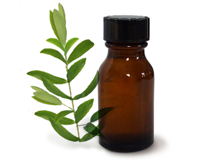 Tea Tree Oil and Aloe Vera for Tongue Blisters