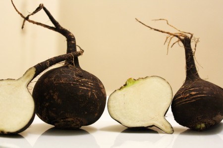 Black Radish, the Golden Vegetable of the Antiquity – Therapeutic Recommendations