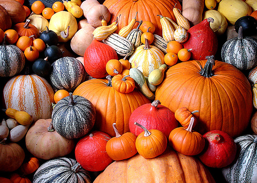 Boost Immunity and Reduce Inflammation with Pumpkins