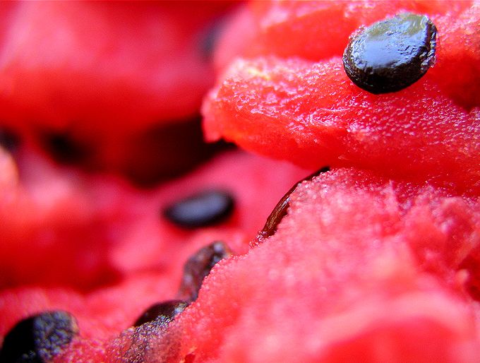 Don’t Throw the Watermelon Seeds – They are Miraculous Remedies