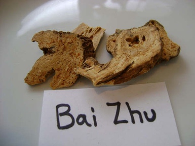 Bai_Zhu