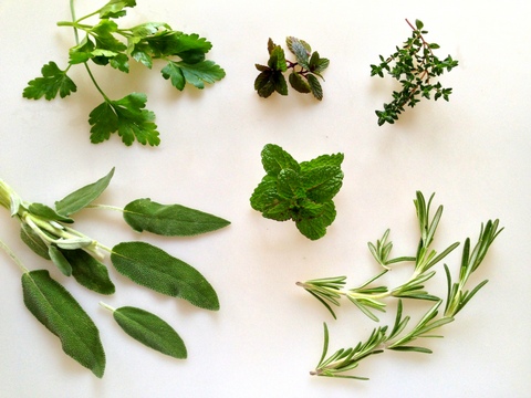 1-1-herbs1
