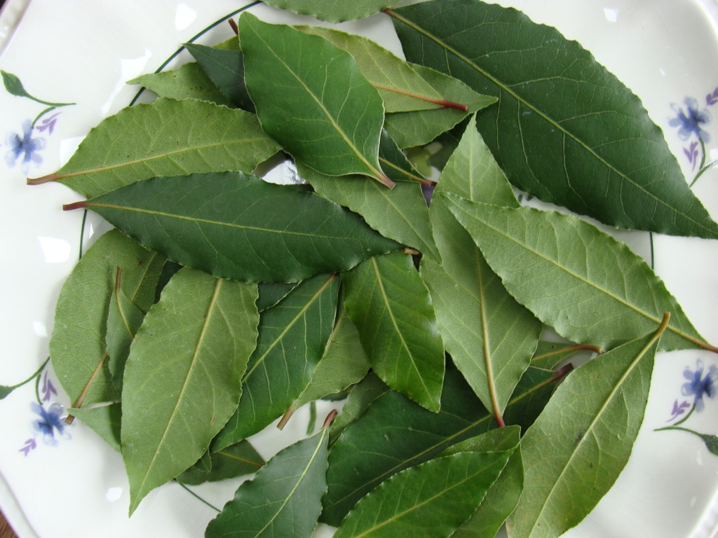 bay leaves health and beauty benefits