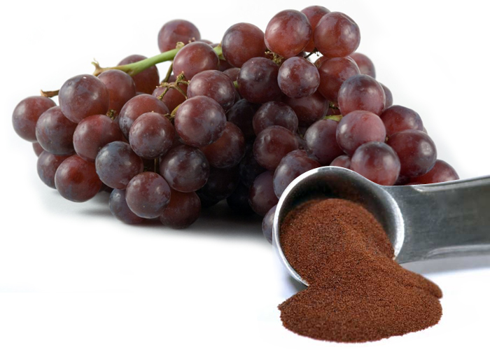 grape-seed-extract for cancer