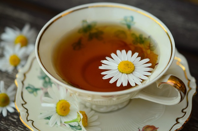 chamomile tea for cancer