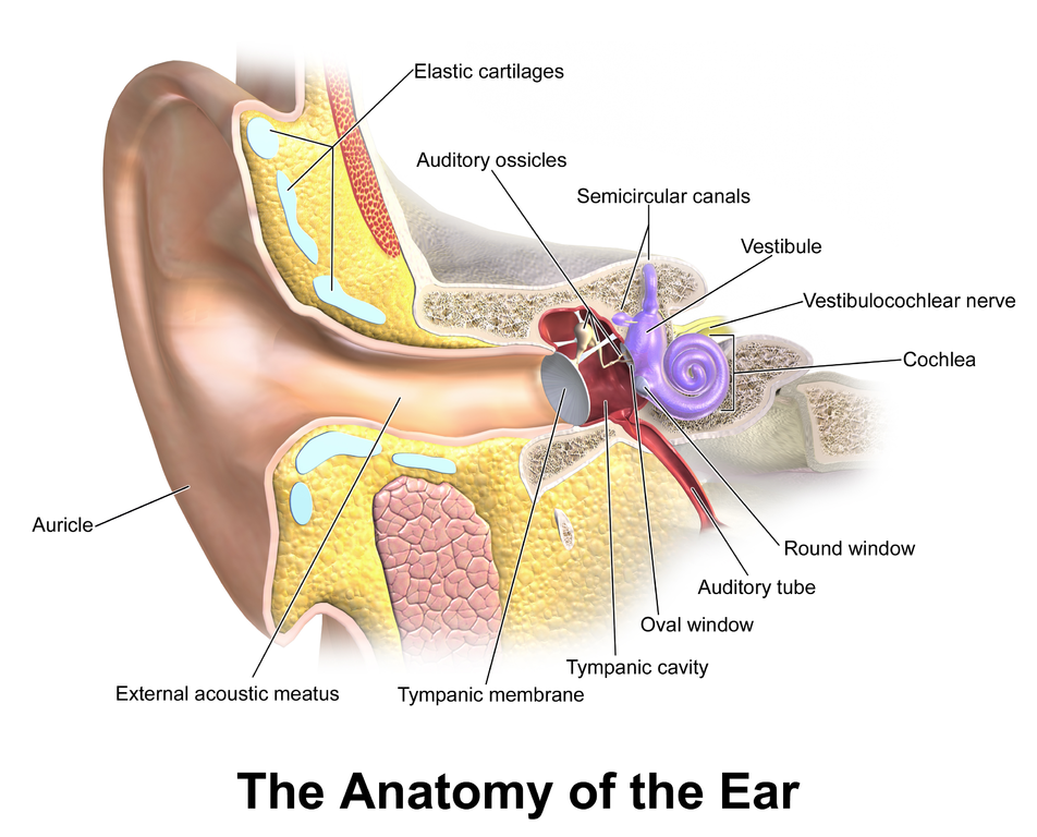 cleaning earwax at home