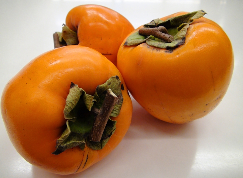 persimmons and antioxidants