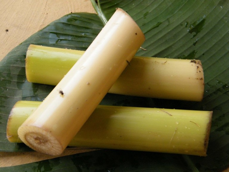 banana-stem-fights-diabetes-and-cancer-and-reduces-inflammation-top