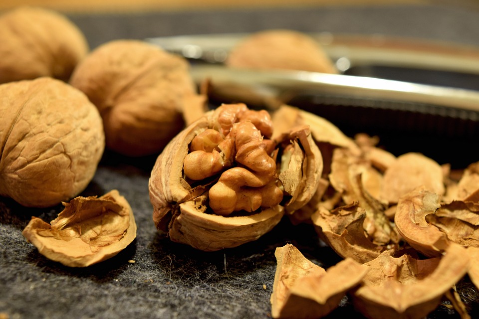 walnut intake