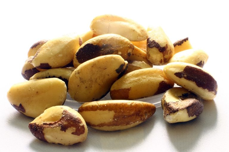 4-brazil-nuts-can-instantly-decrease-the-cholesterol-level-top