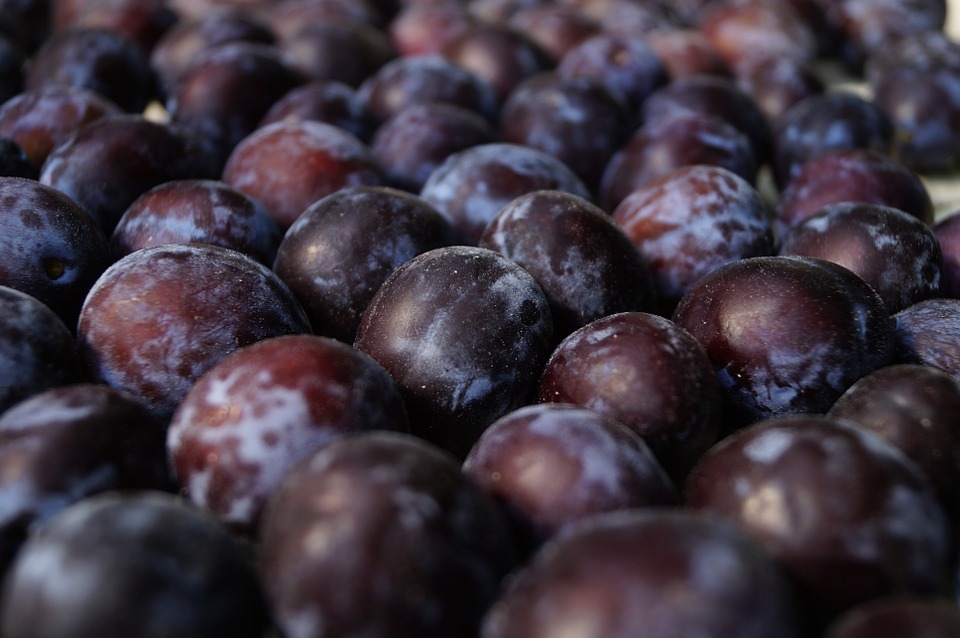 plums for the nervous system