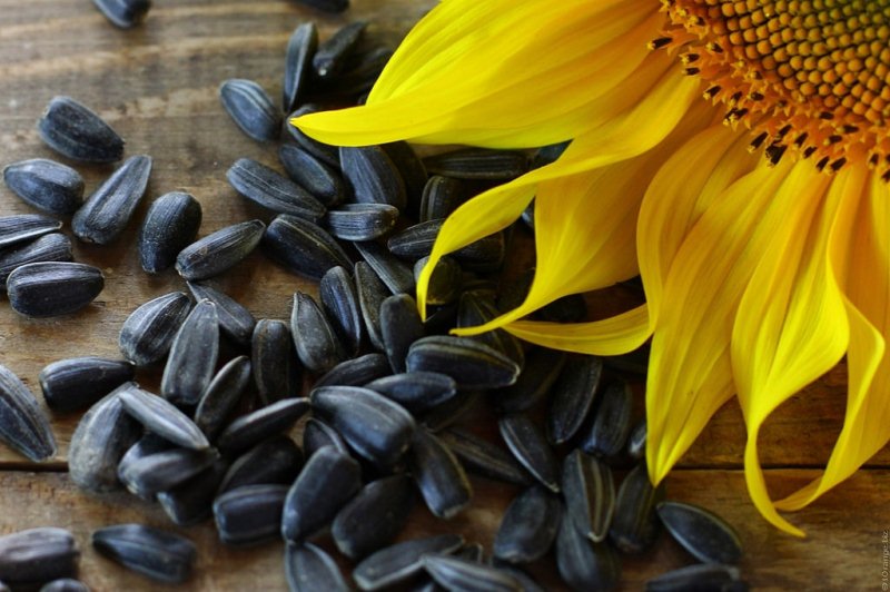 sunflower seeds with honey