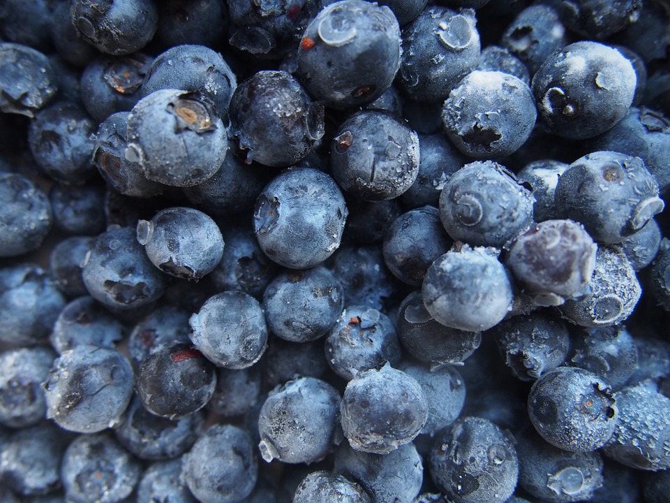blueberries-for-cancer
